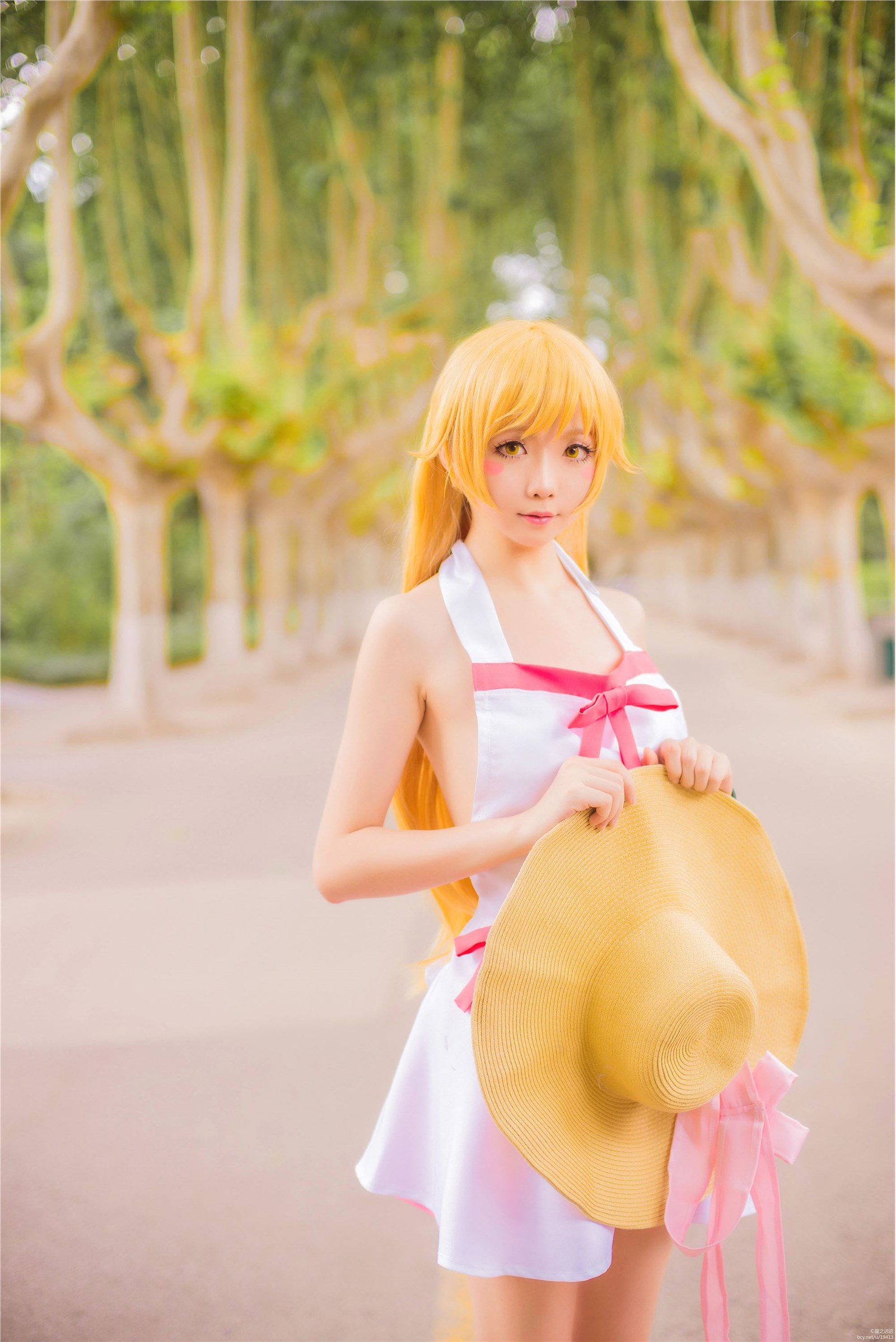 Star's Delay to December 22, Coser Hoshilly BCY Collection 9(118)